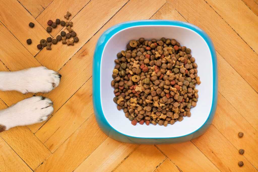 Fresh Pet Dog Food Ingredients Top Choices for Your Dog